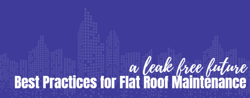 A Leak-Free Future: Best Practices for Flat Roof Maintenance