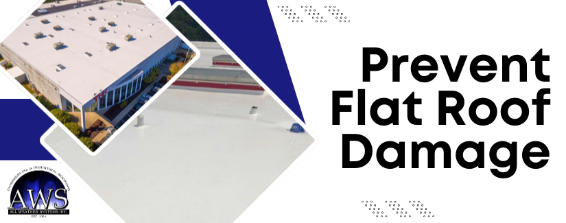Common Flat Roof Problems (and How We Solve Them)