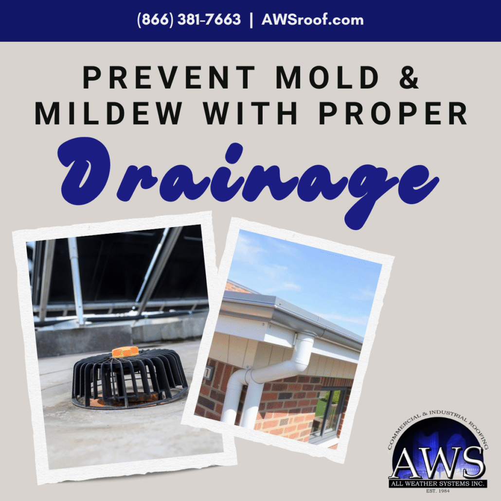 Flat roof drainage and scupper inspection on a commercial building