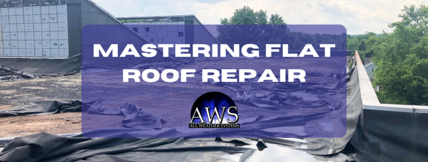 Mastering Professional Flat Roof Repair in Ohio