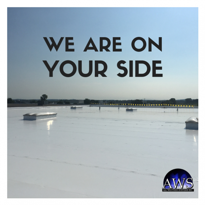 How to Choose the Right Roof Access Ladder