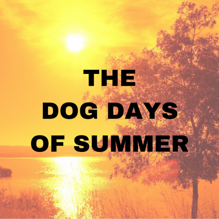 The Dog Days of Summer – Cool Roofs
