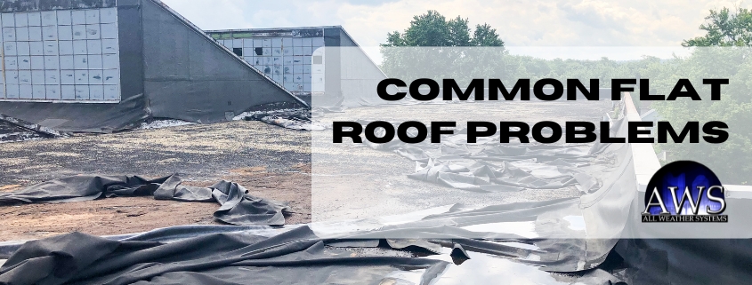 Common Flat Roof Problems and How to Address Them Blog Cover