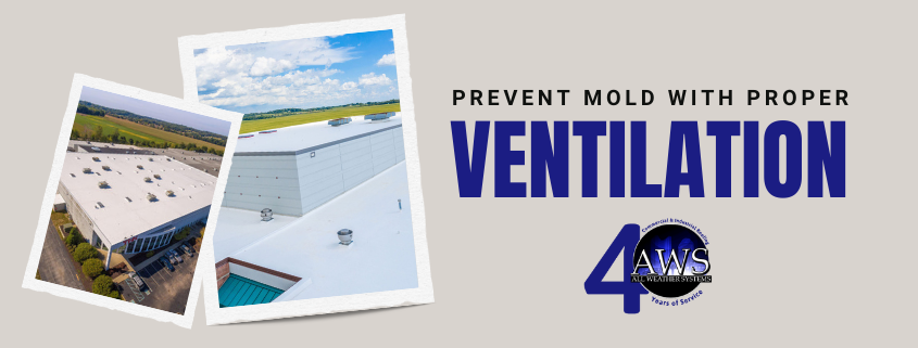 Flat Roof Ventilation: Preventing Mold and Damage